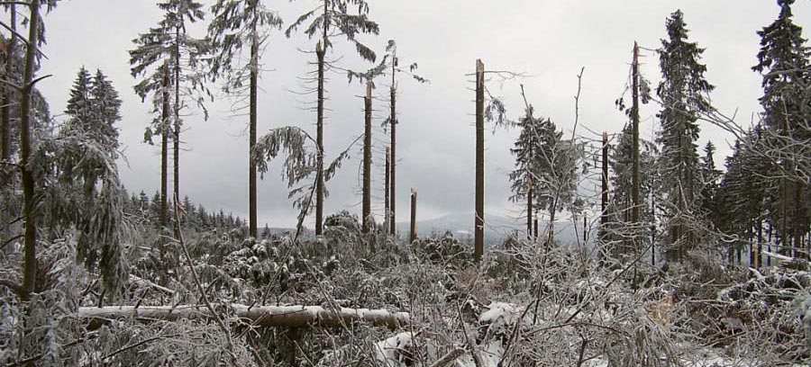 18.01.2007 KYRILL über Thüringen (Teil 2: Stundenprotokoll)