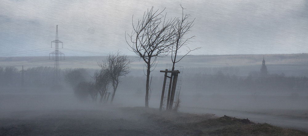 31.03.2015 Orkan Niklas