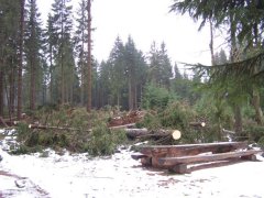 100_3749.jpg