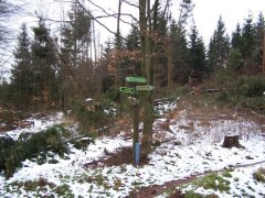 100_3795.jpg