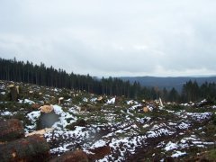100_3800.jpg