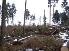 100_3827.jpg