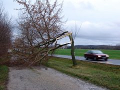 Schäden bei Großobringen (AP)