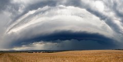 shelfcloud