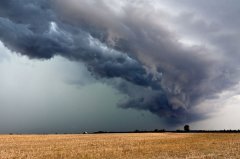 shelfcloud