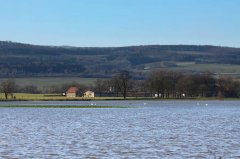 Hochwasser Werra Creuzburg