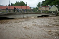 Hochwasser Weiße Elster in Greiz (Bild: W. Preißler)