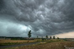 _DSC4107_8_tonemapped.jpg