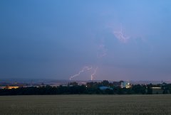 _IMG_3650.jpg