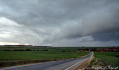 DSC_8980_1_2_fused.jpg