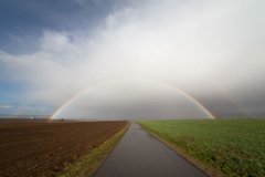 _IMG_3911.jpg