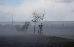 _IMG_5241.jpg